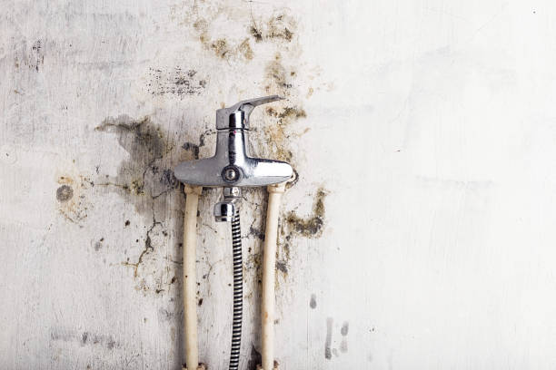 Best Mold Damage Repair  in Labasas, CA