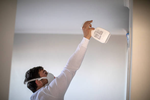 Best Office Mold Removal Services  in Labasas, CA