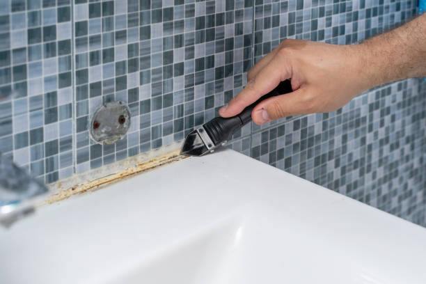Best Fast Mold Removal  in Labasas, CA